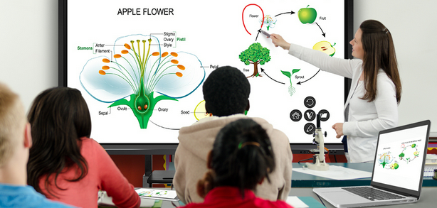 School classroom with ViewSonic interactive flat panel in daily teaching use