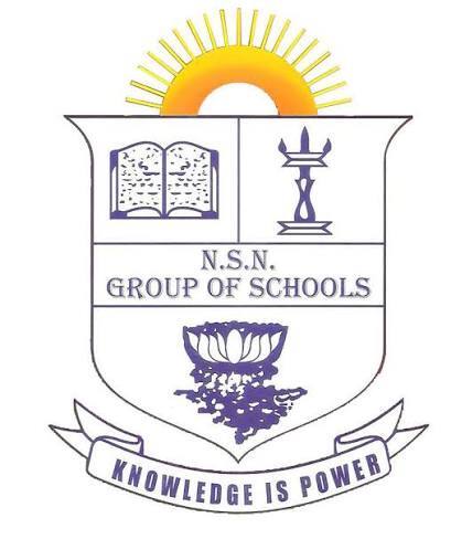 NSN Group of Schools logo